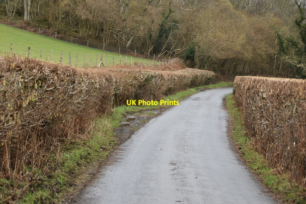 Photo 6"x4" Forge Rd Birchden c2021 P1