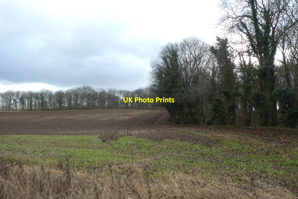 Photo 6"x4" Field beside Claypit Lane Ledsham\/SE4529 c2022