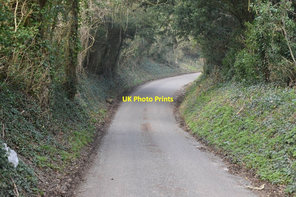 Photo 6"x4" Sundridge Hill Chevening c2021