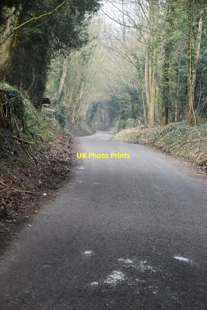 Photo 6"x4" Sundridge Hill Chevening c2021 P3