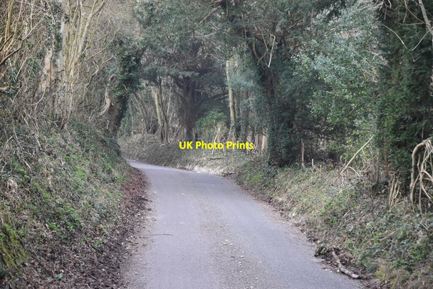 Photo 6"x4" Sundridge Hill Chevening c2021 P4