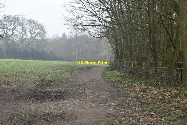 Photo 6"x4" North Downs Way Knockholt c2021