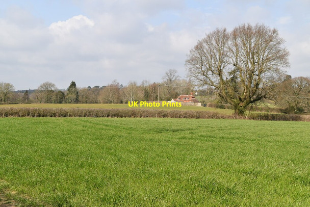Photo 6"x4" Pastureland by Sussex Border Path Seacox Heath c2021