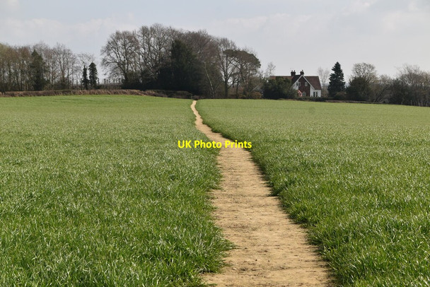 Photo 6"x4" Sussex Border Path High Street\/TQ7430 c2021
