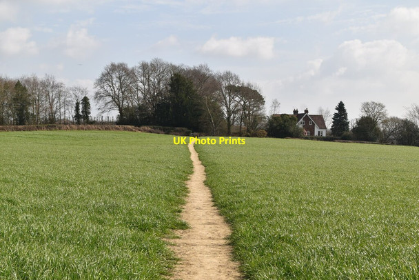 Photo 6"x4" Sussex Border Path High Street\/TQ7430 c2021