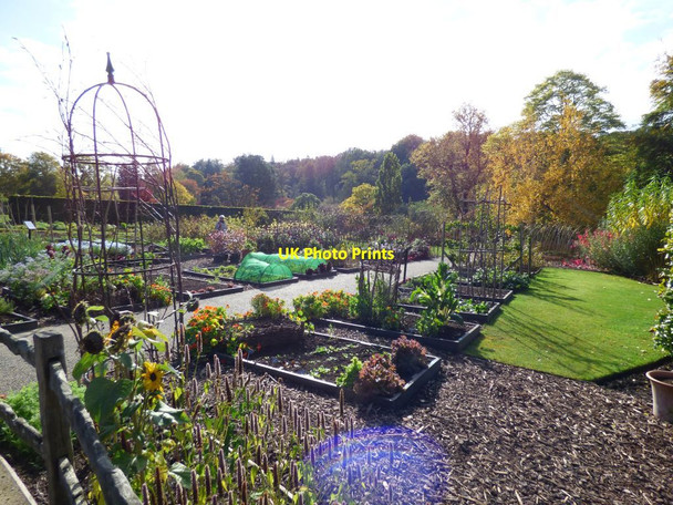 Photo 6"x4" The Kitchen Garden Harrogate c2016