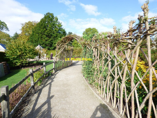 Photo 6"x4" Path by the Kitchen garden Harrogate c2016
