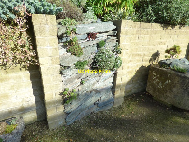 Photo 6"x4" Alpines planted in a vertical wall Harrogate c2016