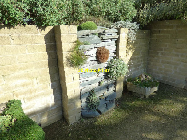 Photo 6"x4" Alpines grown in a vertical wall Harrogate c2016