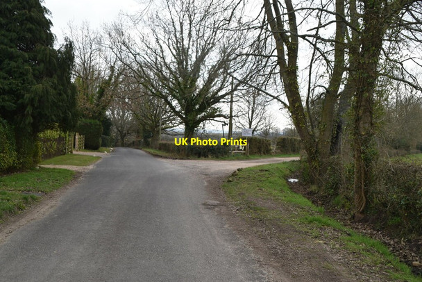 Photo 6"x4" Sussex Border Path off Stream Lane Four Throws c2021
