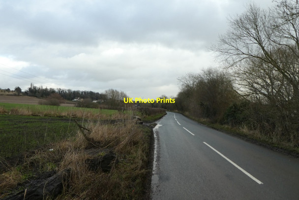 Photo 6"x4" Along Newton Lane Fairburn c2022