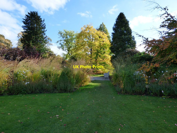 Photo 6"x4" Grass path to a bench Harlow Carr c2016