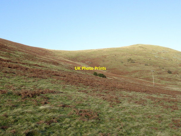 Photo 6"x4" East side of Blackhaggs Rigg College Burn c2022
