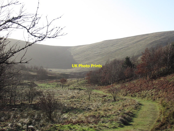 Photo 6"x4" Head of the College Valley Sourhope c2022