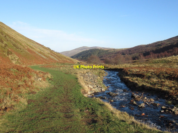Photo 6"x4" Path beside the College Burn Sourhope c2022