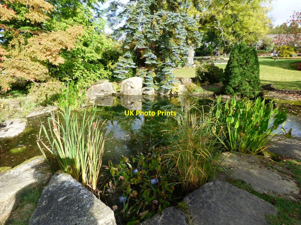 Photo 6"x4" Pool in the borders Harrogate c2016