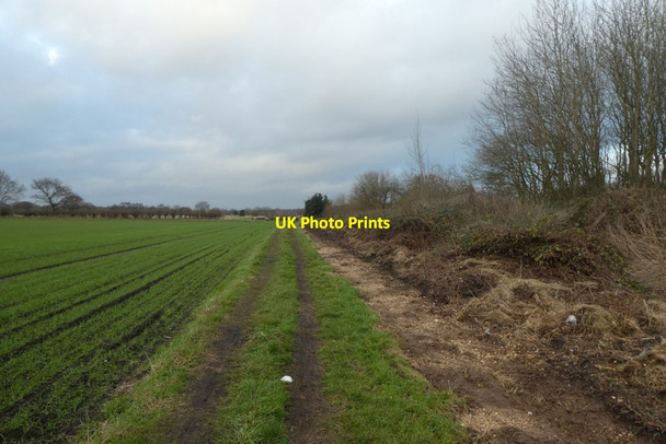 Photo 6"x4" Path from the airfield Burn\/SE5928 c2022