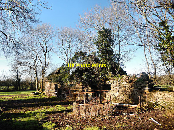 Photo 6"x4" Overgrown Ruin Windgap c2022
