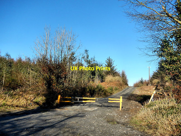 Photo 6"x4" Forest Road Windgap c2022