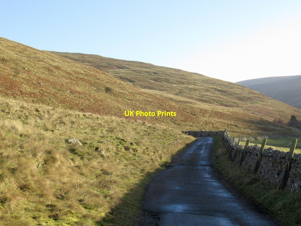 Photo 6"x4" Road to Dunsdale Coldburn\/NT8924 c2022