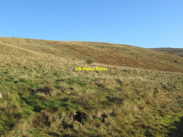 Photo 6"x4" Moorland, Southernknowe Coldburn\/NT8924 c2022