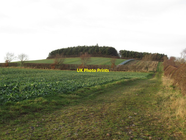 Photo 6"x4" Blake Law East Learmouth c2022