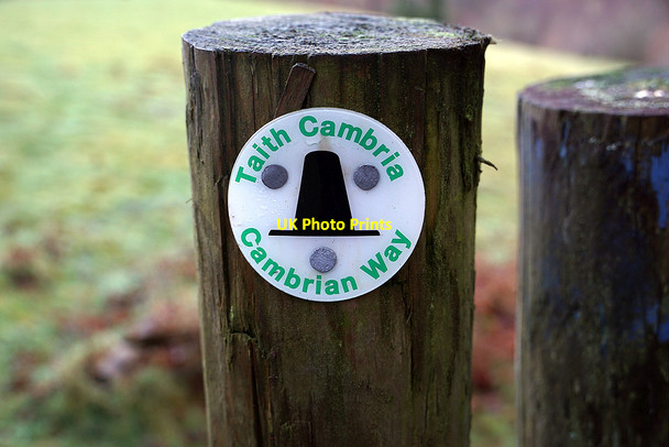 Photo 6"x4" Taith Cambria\/Cambrian Way waymarker Ystumtuen c2022