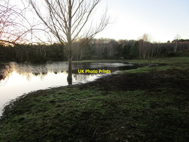 Photo 6"x4" Flooded field off Rufford Colliery Lane Rainworth c2022