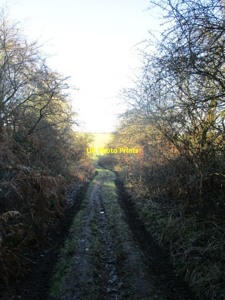 Photo 6"x4" A glimpse of fields beyond the end of Stinting Lane Mansfield Woodhouse c2022