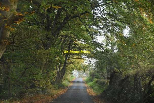 Photo 6"x4" Road to Culdaff Beach Culdaff c2021