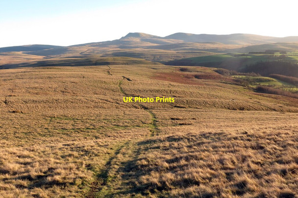 Photo 6"x4" Mynydd Myddfai Myddfai c2022