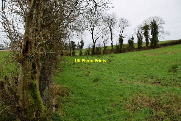 Photo 6"x4" Mullanboy Townland Fintona c2022