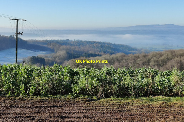 Photo 6"x4" View across the Wyre Forest Shatterford c2022