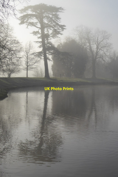 Photo 6"x4" Trees reflected in the lake in Croome Park High Green\/SO8745 c2022