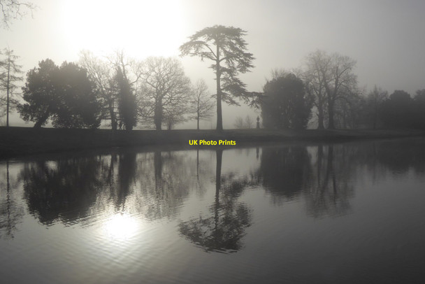 Photo 6"x4" Trees reflected in the lake in Croome Park High Green\/SO8745 c2022