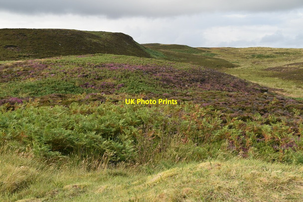 Photo 6"x4" Moorland, Cairn O' Get Ulbster c2021