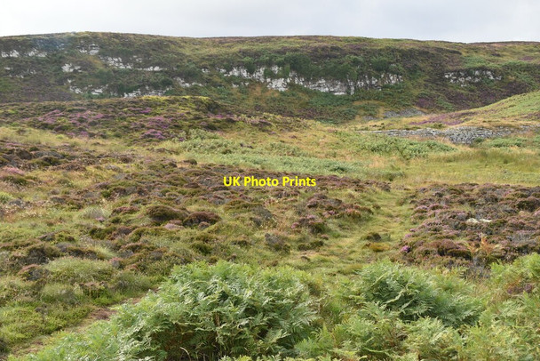 Photo 6"x4" Moorland, Cairn O' Get Ulbster c2021 P1