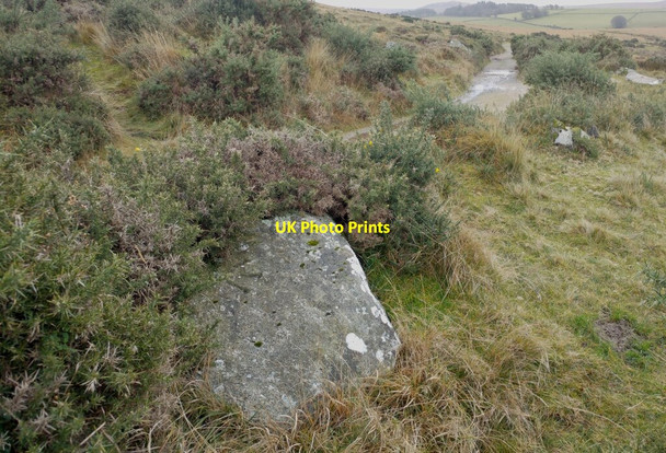 Photo 6"x4" Benchmark - near Nine Maidens stone circle Belstone c2021