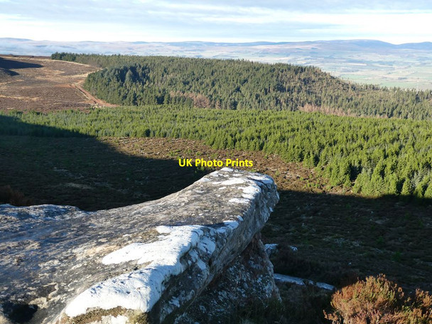 Photo 6"x4" Simonside Forest Newtown\/NU0300 c2022