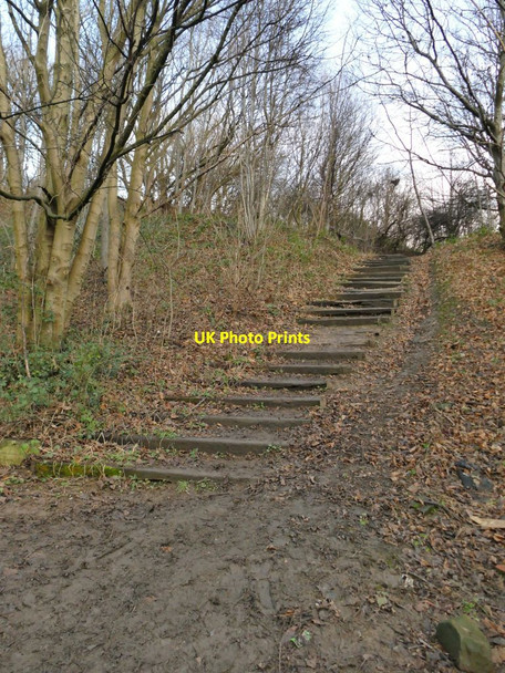 Photo 6"x4" Steps up from Buslingthorpe Lane Leeds\/SE3034 c2022