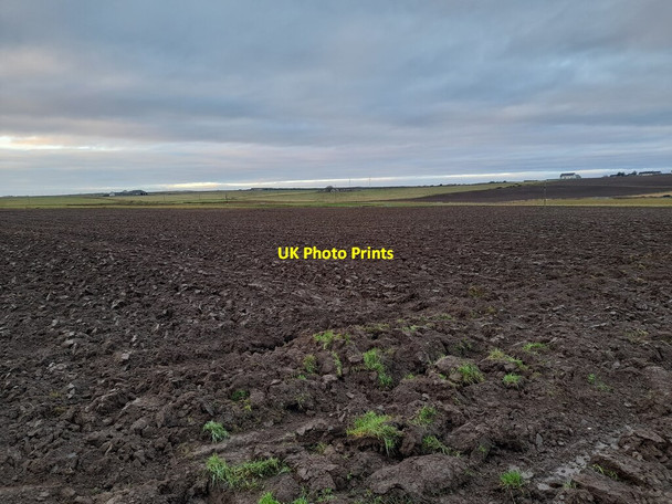 Photo 6"x4" Field, Charity Farm Wick\/ND3650 c2022