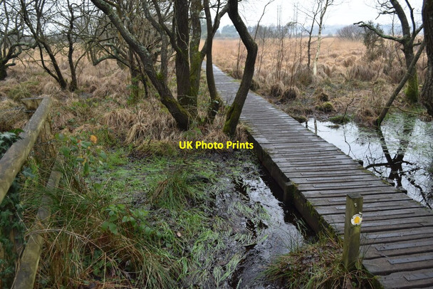 Photo 6"x4" Boardwalk on edge of Holt Heath Holt Heath\/SU0604 c2022
