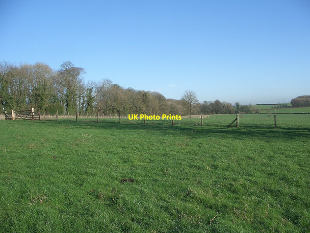 Photo 6"x4" Long Belt, Tythegston from the south Tythegston c2022