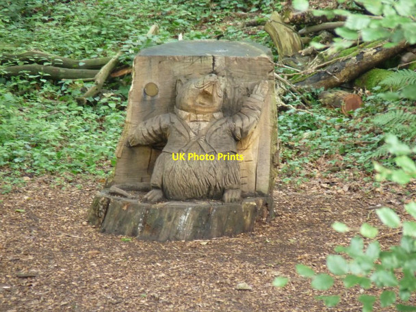 Photo 6"x4" Carved wooden beaver Tyntesfield c2015