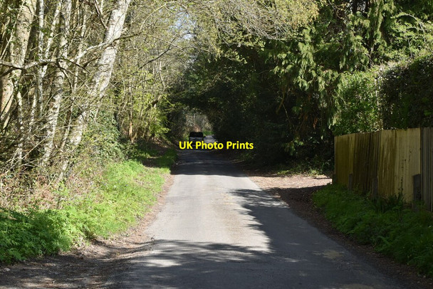Photo 6"x4" Tanyard Lane Chelwood Common c2021