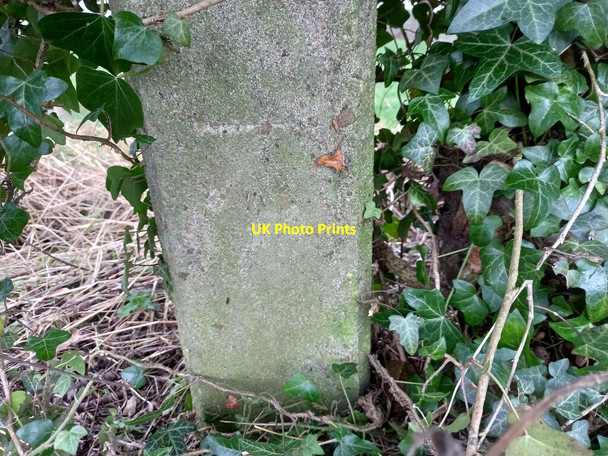 Photo 6"x4" Marton cum Grafton, Braimber Lane Marton\/SE4162 c2021