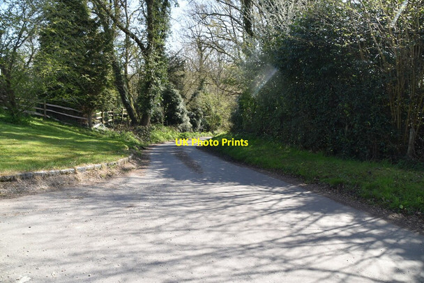 Photo 6"x4" Brookhouse Bottom Chelwood Common c2021