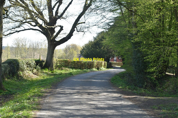 Photo 6"x4" Sheffield Mill Lane Sheffield Green\/TQ4125 c2021 P1