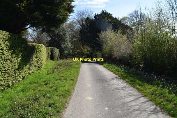 Photo 6"x4" Sheffield Mill Lane Sheffield Green\/TQ4125 c2021