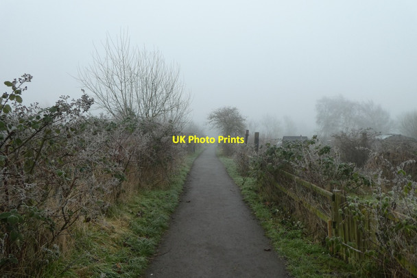 Photo 6"x4" Path through Low Moor Allotments York\/SE5951 c2022